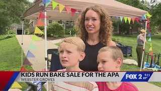 Webster Groves kids bake nearly 600 cookies to raise money for animals in need