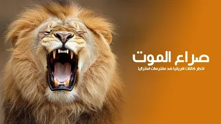 صراع الموت: أخطر كائنات أفريقيا ضد أشرس مفترسات أستراليا | كويست عربية