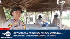 5 MARET 2026 OPTIMALKAN PRODUKSI POLSEK MEMPAWAH HULU BELI MESIN PENGERING JAGUNG