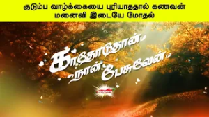 குடும்ப வாழ்க்கையை புரியாததால் கணவன் மனைவி இடையே மோதல் | காதோடுதான் நான் பேசுவேன்