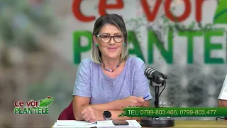 CE VOR PLANTELE CHRISTINA GHIBU 03 08 2026 P1
