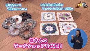 【かご探】かごしまデザインフェア2026～南国の風、デザインの息吹。～(2月7日放送)