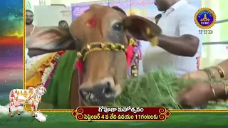 Promo || Goopooja Mahotsavam || SVBC TTD