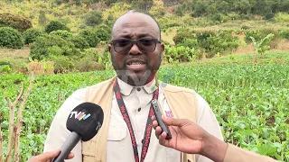 Facing the risk of El Niño in Manica: Farmers learn climate-resilient techniques