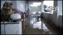 ΣΕ ΕΞΕΛΙΞΗ Η ΔΙΑΔΙΚΑΣΙΑ ΑΥΤΟΨΙΩΝ ΚΑΙ ΚΑΤΑΓΡΑΦΗΣ ΤΩΝ ΖΗ