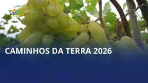 Vem aí o primeiro Caminhos da Terra de 2026!