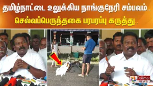 தமிழ்நாட்டை உலுக்கிய நாங்குநேரி சம்பவம்.. செல்வப்பெருந்தகை பரபரப்பு கருத்து..