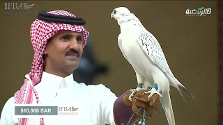 بقيمة وصلت مليون و 300 ألف ريال بيع أغلى طير في المزاد الدولي لمزارع إنتاج الصقور من نوع مثلوث جير