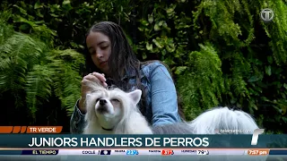 TR Verde: Junior dog handlers win international exhibitions