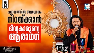 ഈശോയോടൊപ്പം ഒരു വിരുന്ന് | DIVYAKARUNYA SOBHAYIL EP 14 | FR RAPSON PETER |  ADORATION  |SHALOM TV