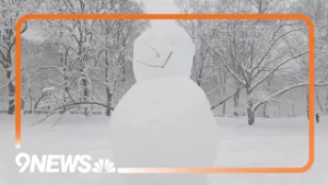 Central Park blanketed in snow as storm, one of 10 biggest ever in New York City