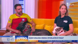 Kako izgleda obuka spasilačkih pasa? - JUTRO