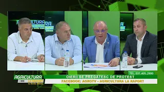 Agriculture Report with Ovidiu Ghinea P3 07/29/2026