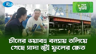 চীনের ভয়াবহ বন্যায় তলিয়ে গেছে সাদা জুঁই ফুলের ক্ষেত | Sobuj Prithibe | Rtv