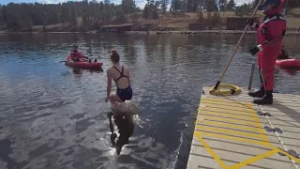 Latest Headlines | Evergreen hosts lake plunge despite warmer winter