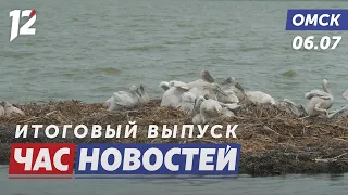 Pelicans / Raid on unauthorized beaches / Avangard newcomers. Omsk News