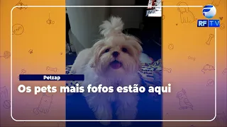 Petzap
