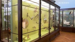 1,000 birds restored: What visitors can discover now