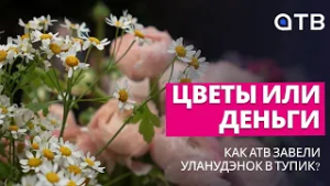 Цветы или деньги: как АТВ завели уланудэнок в тупик?