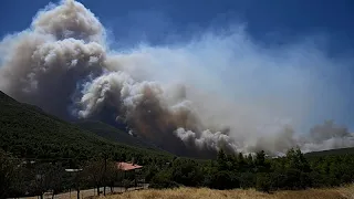 Wildfires in Europe: fires continue to spread in Provence and Greece