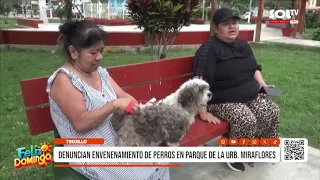 Trujillo: Dog poisoning reported at Miraflores neighborhood park