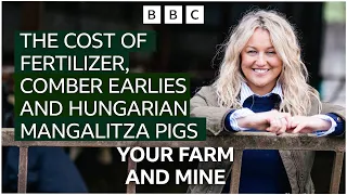 The Cost of Fertilizer, Comber Earlies and Hungarian Mangalitza Pigs  #farming #farminglife