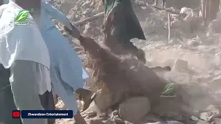 له ملګرو ملتونو څخه پر افغانستان د پاکستاني پوځي رژیم د بریدونو د څېړنې غوښتنه