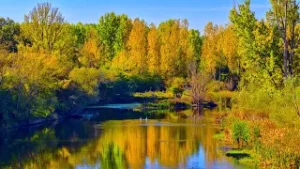 ХАЙРЕДИН - Прелестта на равнините