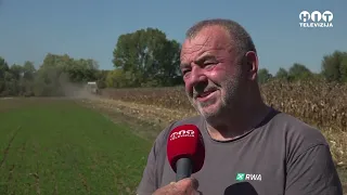 Prinosi kukuruza ove godine loši kao rijetko kada - Hit Televizija Brčko