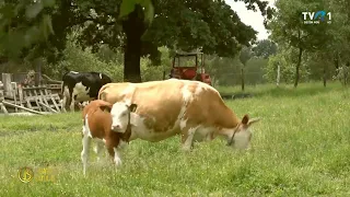 Viaţa satului: Modernizarea agriculturii montane - Vaideeni (@TVR1)