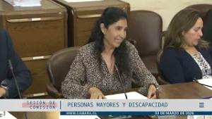 Comisión De Personas Mayores / Martes 3 marzo 2026
