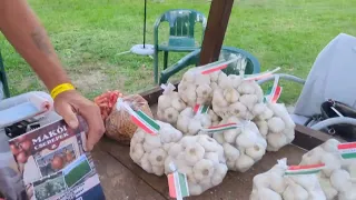 A makói hagyma miatt távolabbról is érkeztek érdeklődők a Hagymafesztiválra