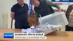 Zgjedhjet për PD Korçë/ Caktohet data, ja dy kandidatët në garë