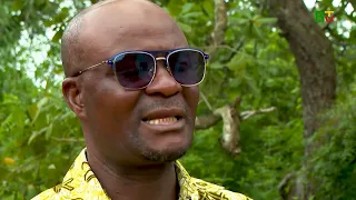 Proximité coton et céréales : une cohabitation dangereuse | Bénin TV | 23 septembre 2026