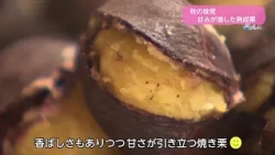 Trend#Link Autumn Delicacy: Matured Chestnuts with Enhanced Sweetness
