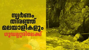 സ്വർണം തിരഞ്ഞ് മലയാളികളും ഗൂഡല്ലൂരിലേക്ക്; 100ലേറെ തുരങ്കങ്ങൾ നിർമിച്ച് വൻ അനധികൃത ’സ്വർണ ഖനനം’