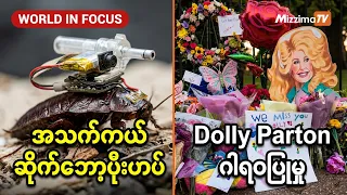 သဘာဝဘေးအန္တရာယ်တွင် အသက်ကယ်မည့် ဆိုက်ဘော့ပိုးဟပ်များ နှင့် Dolly Parton အတွက် ပရိသတ်များ၏ ဂါရဝပြုမှု