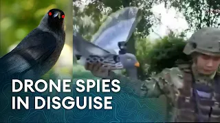 Could the bird above you be a spy drone?