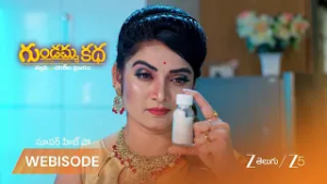 GUNDAMMA KATHA | పల్లవి ఇచ్చిన పాలల్లో నిద్రమాత్రలు కలిపిన అక్షిత