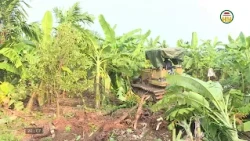 Khoai Chau Golf Course Project Site Clearance
