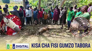 TAHARUKI YAIBUKA TABORA, FISI AJERUHI MMOJA, KIJANA AJITOA MHANGA KUMKABILI
