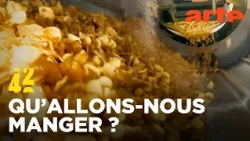 Les aliments transformés rendent-ils malades ? | 42 - La réponse à presque tout | ARTE
