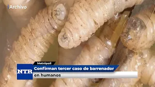 Confirman tercer caso de barrenador en humanos