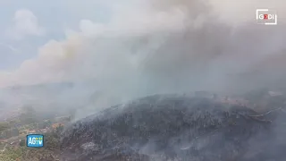 Gargano, la pineta carbonizzata: il drone mostra la devastazione dell'ultimo incendio
