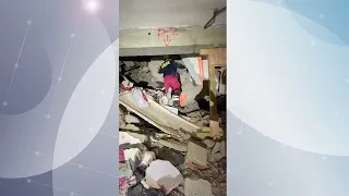 RESCUE DOGS PARTICIPATED IN THE RESCUE OF PEOPLE