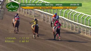 Hipódromo Monterrico - 6ta Carrera 29  Agosto 26