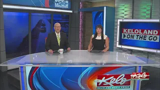 Changing plea in Wendel case; Penguin Project; Rain
