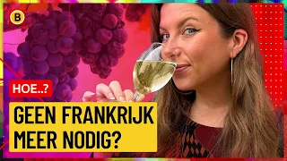 Will we be drinking Brabant wine soon?