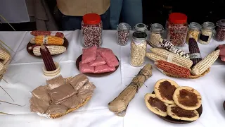 National Corn Day Celebrated at the National Agrarian University