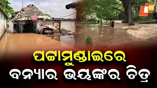 Brahmani Floods Inundate Pattamundai, Roads Submerged and Connectivity Disrupted